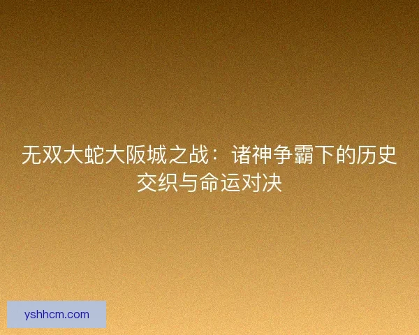无双大蛇大阪城之战：诸神争霸下的历史交织与命运对决