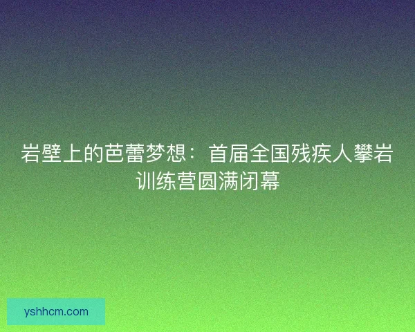 岩壁上的芭蕾梦想：首届全国残疾人攀岩训练营圆满闭幕