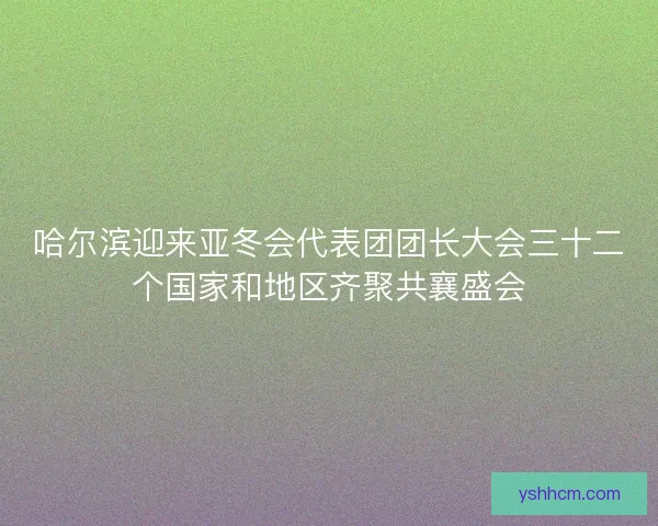 哈尔滨迎来亚冬会代表团团长大会三十二个国家和地区齐聚共襄盛会