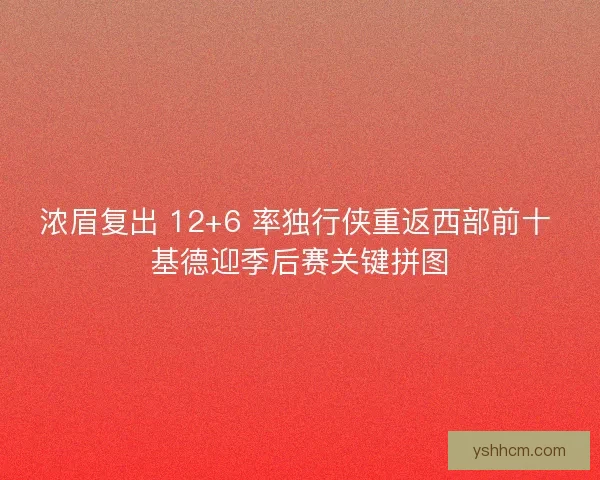 浓眉复出 12+6 率独行侠重返西部前十 基德迎季后赛关键拼图