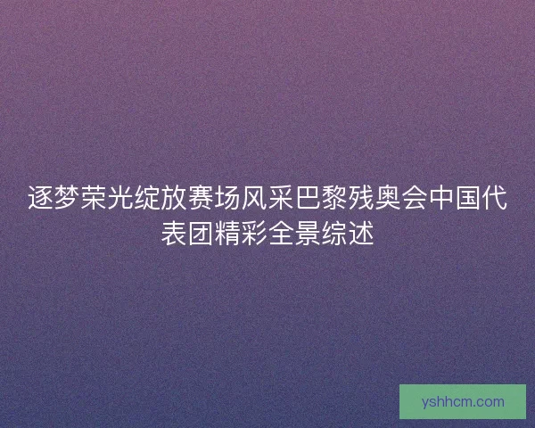 逐梦荣光绽放赛场风采巴黎残奥会中国代表团精彩全景综述