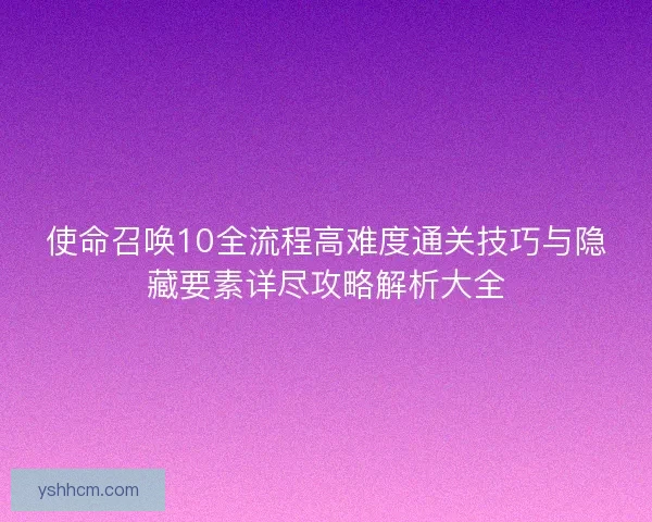 使命召唤10全流程高难度通关技巧与隐藏要素详尽攻略解析大全